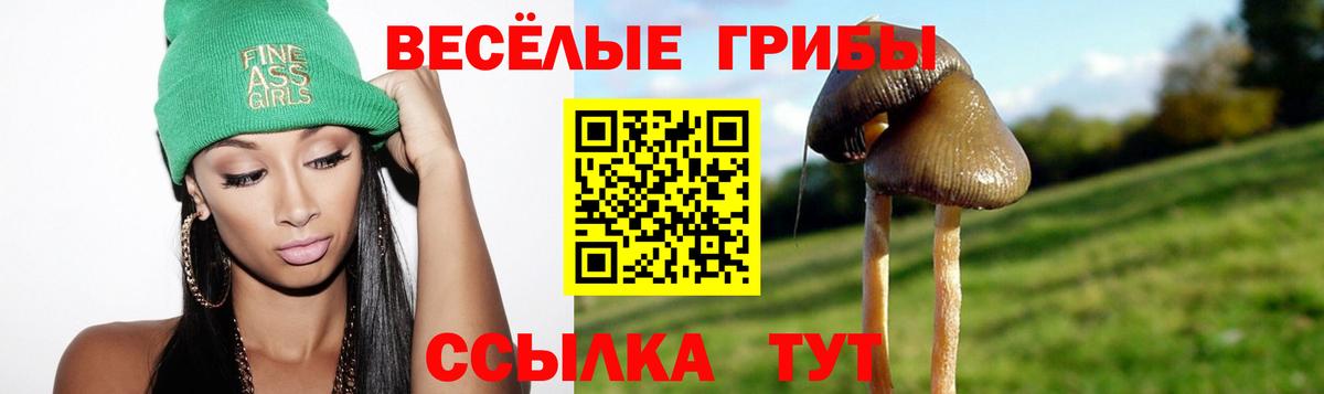 Галлюциногенные грибы мицелий Артём